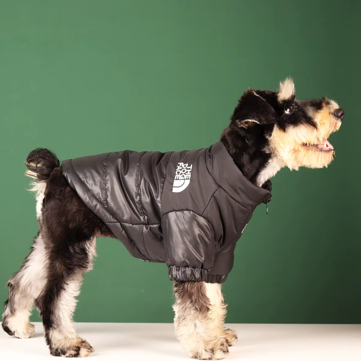 Abrigo Térmico para Perros