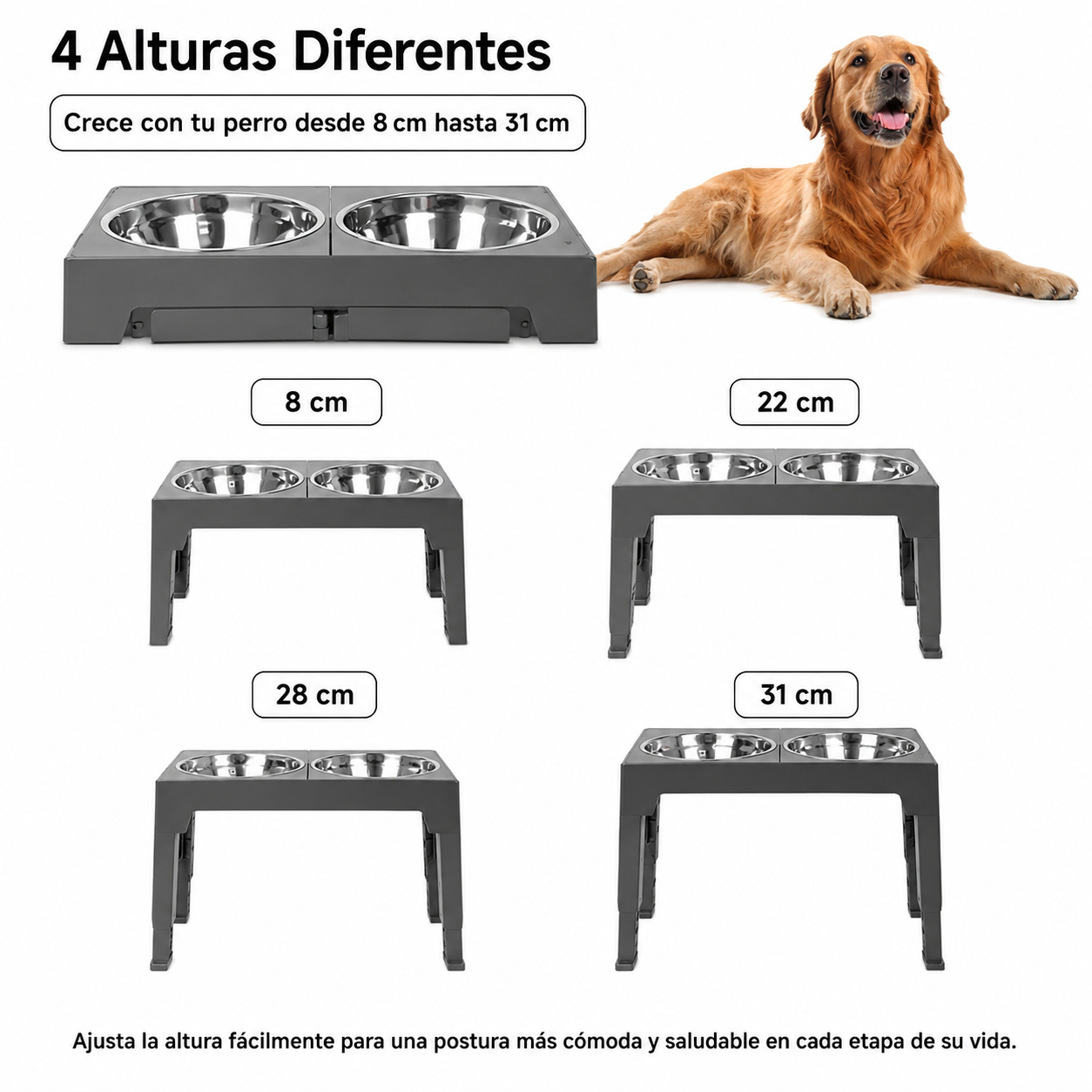 Comedero Elevado Ajustable para Perros